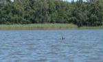 Highslide JS