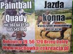 Gospodarstwo Agroturystyczne Wach�wka