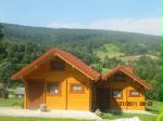 ZIELONE WZG�RZE